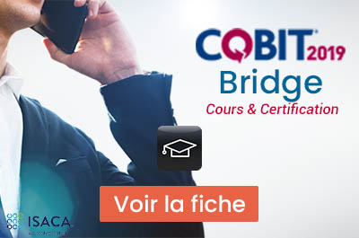 Formation COBIT 2019 Bridge (1 jour)