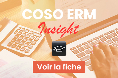 Cours COSO ERM Insight (1 jour)